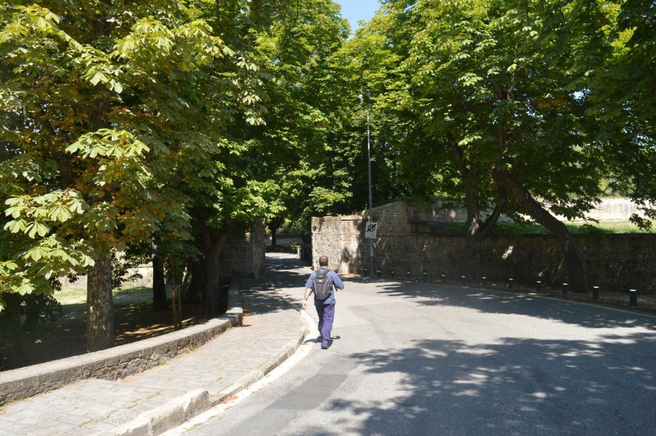 Trampantojo Apartamento En El Corazon De Pamplona Διαμέρισμα Εξωτερικό φωτογραφία